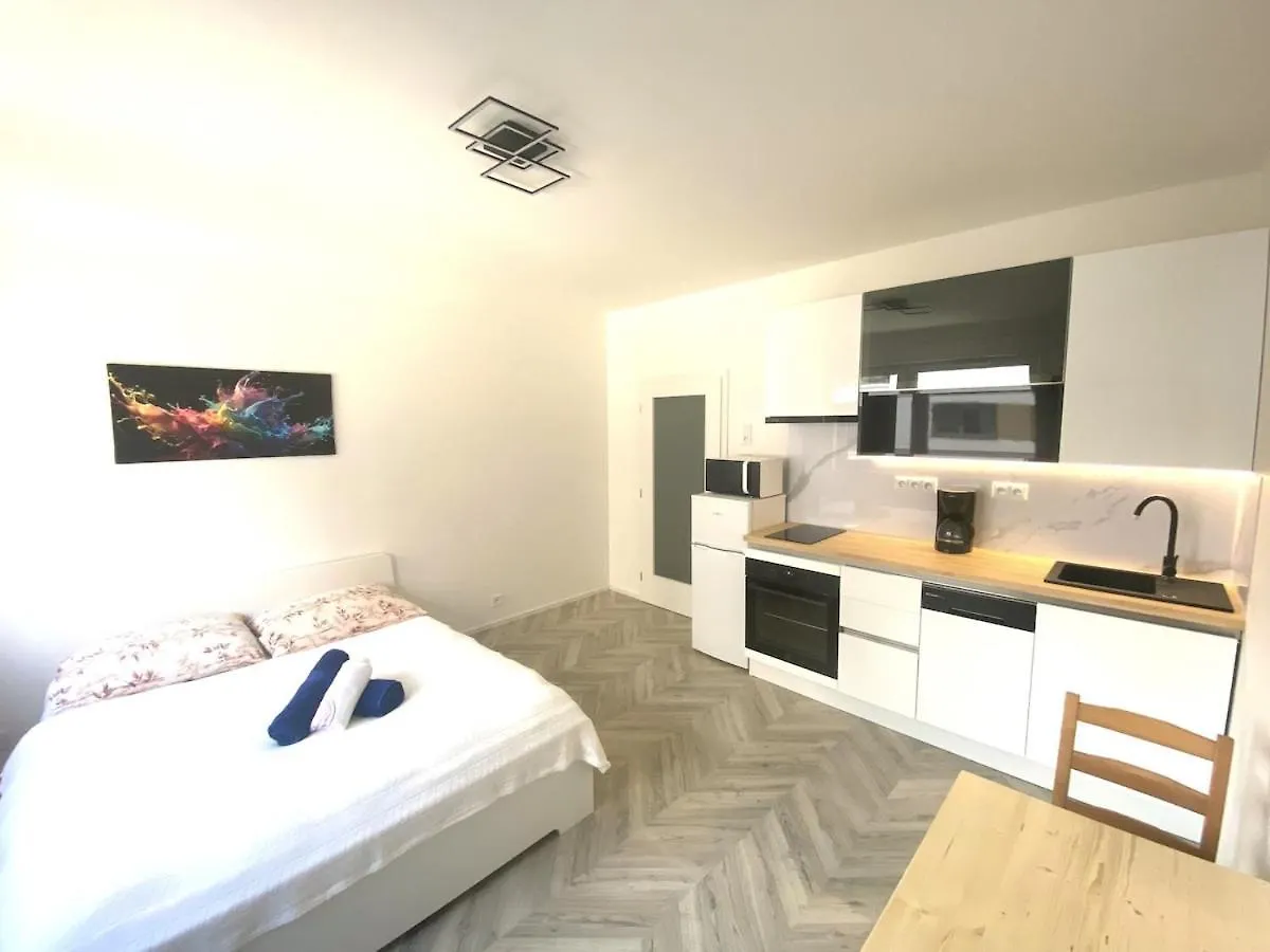 Apartment Brno Center 0*,